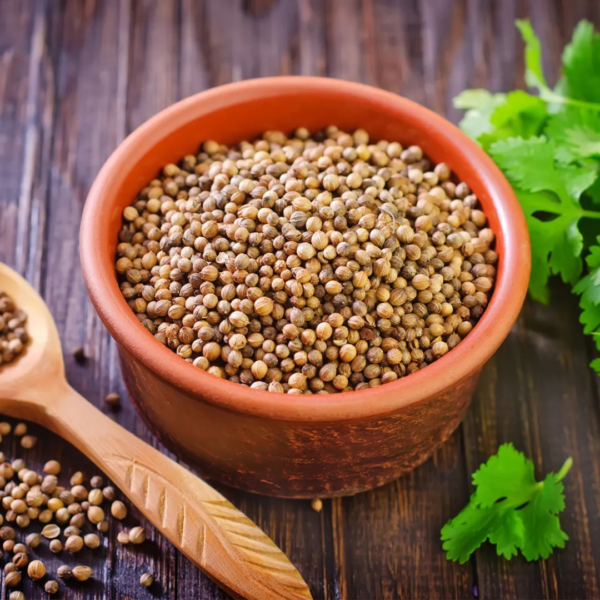 Coriander