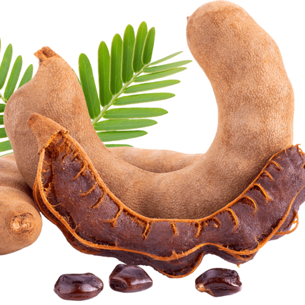 Tamarind