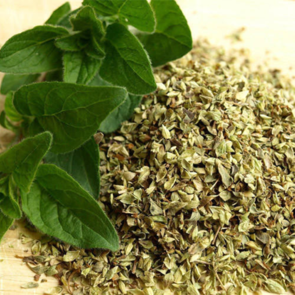 Oregano