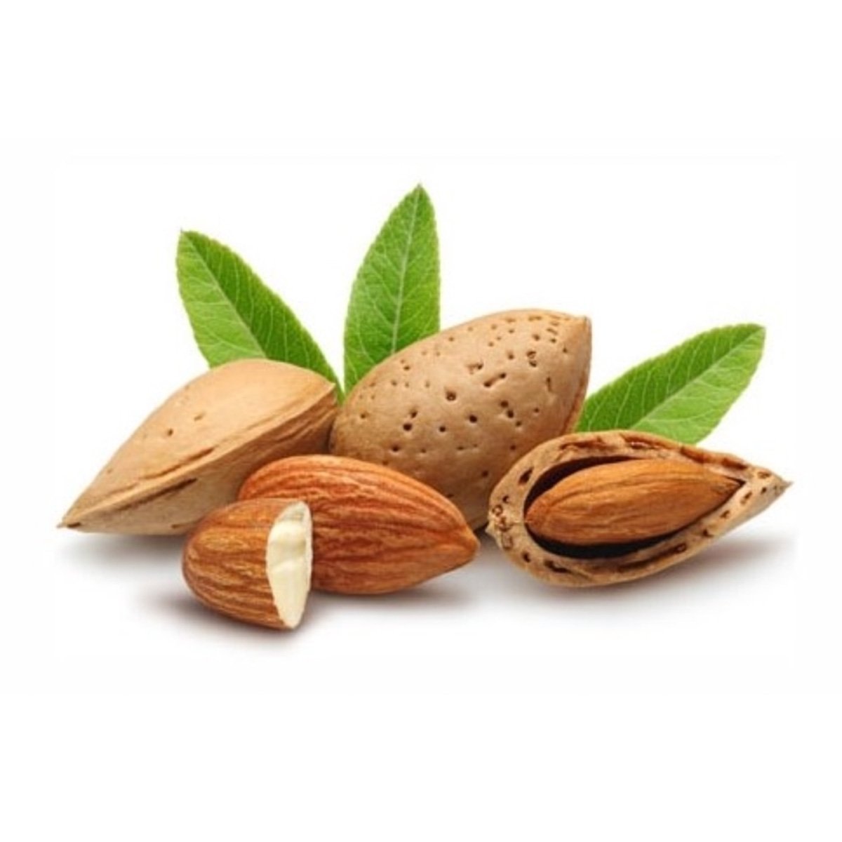 Almonds (Badam)